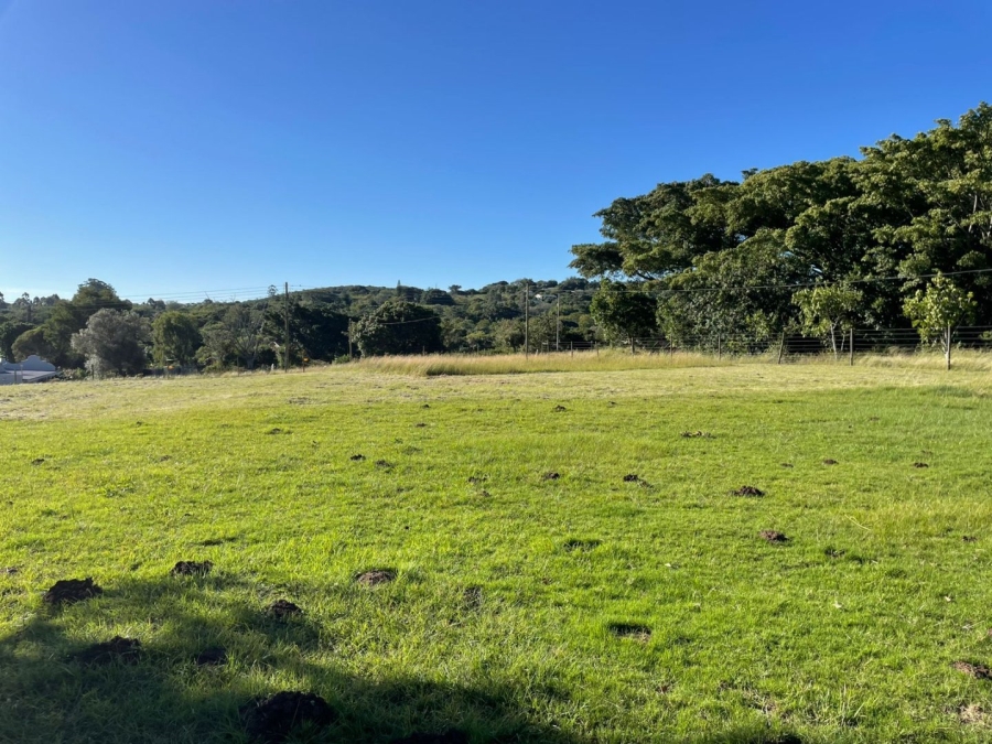 3 Bedroom Property for Sale in Bathurst Eastern Cape